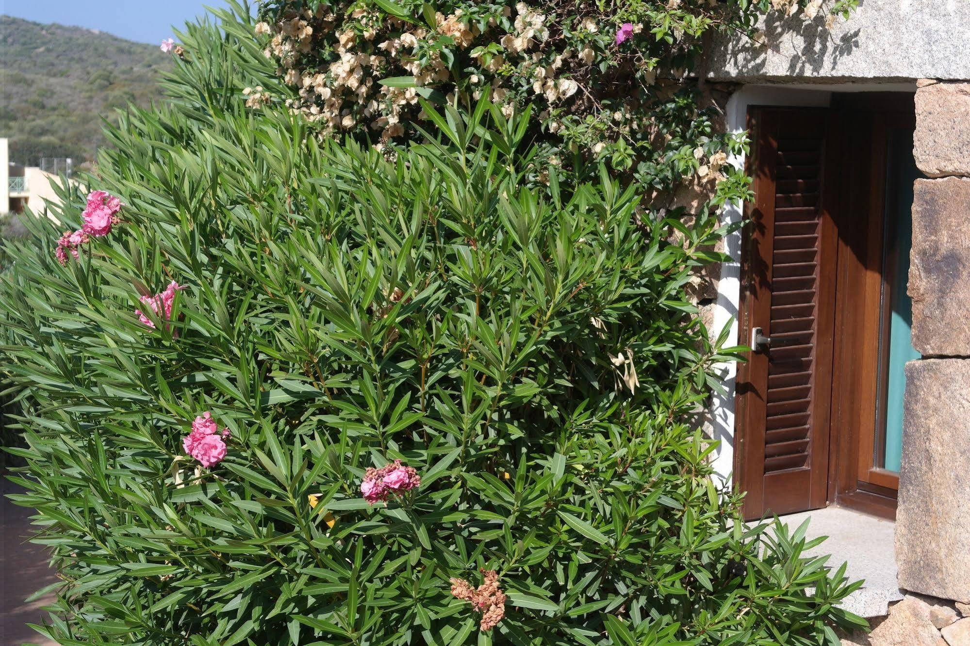 Sardinia Blu Residence Golfo Aranci Kültér fotó